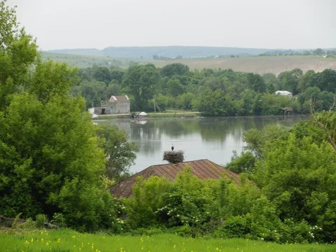 Тарнорудське водосховище: риболовля та відпочинок на ставку