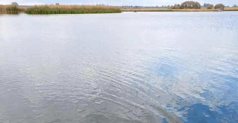 Рибалка на ставку Кукільня (Бердичівський район, Житомирська область)
