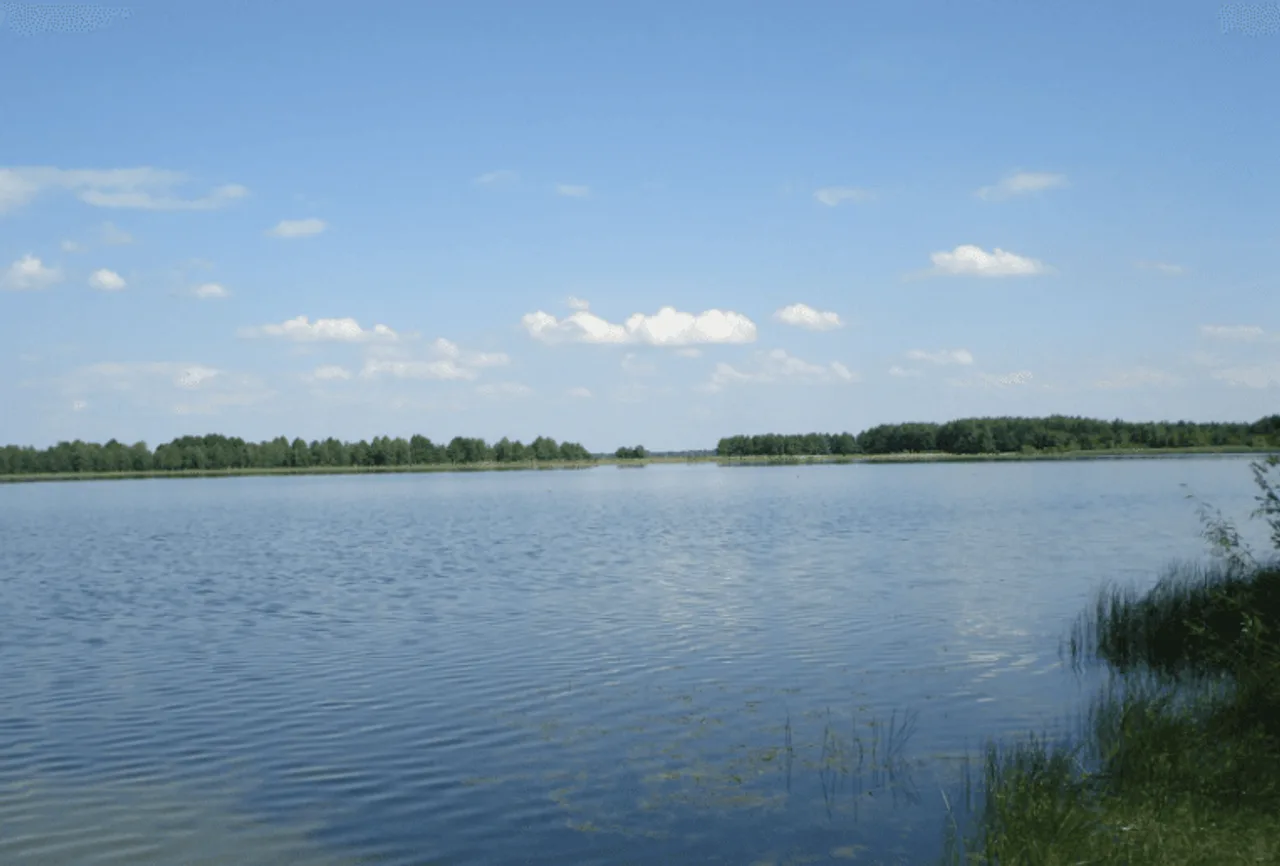 Риболовля в Ковелі: річка Турія та поліські озераіля Ковеля