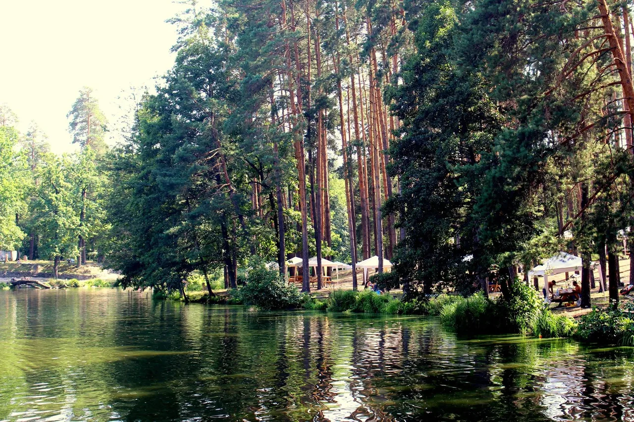 Міський став у Пущі-Водиці — відпочинок та риболовля в Києві
