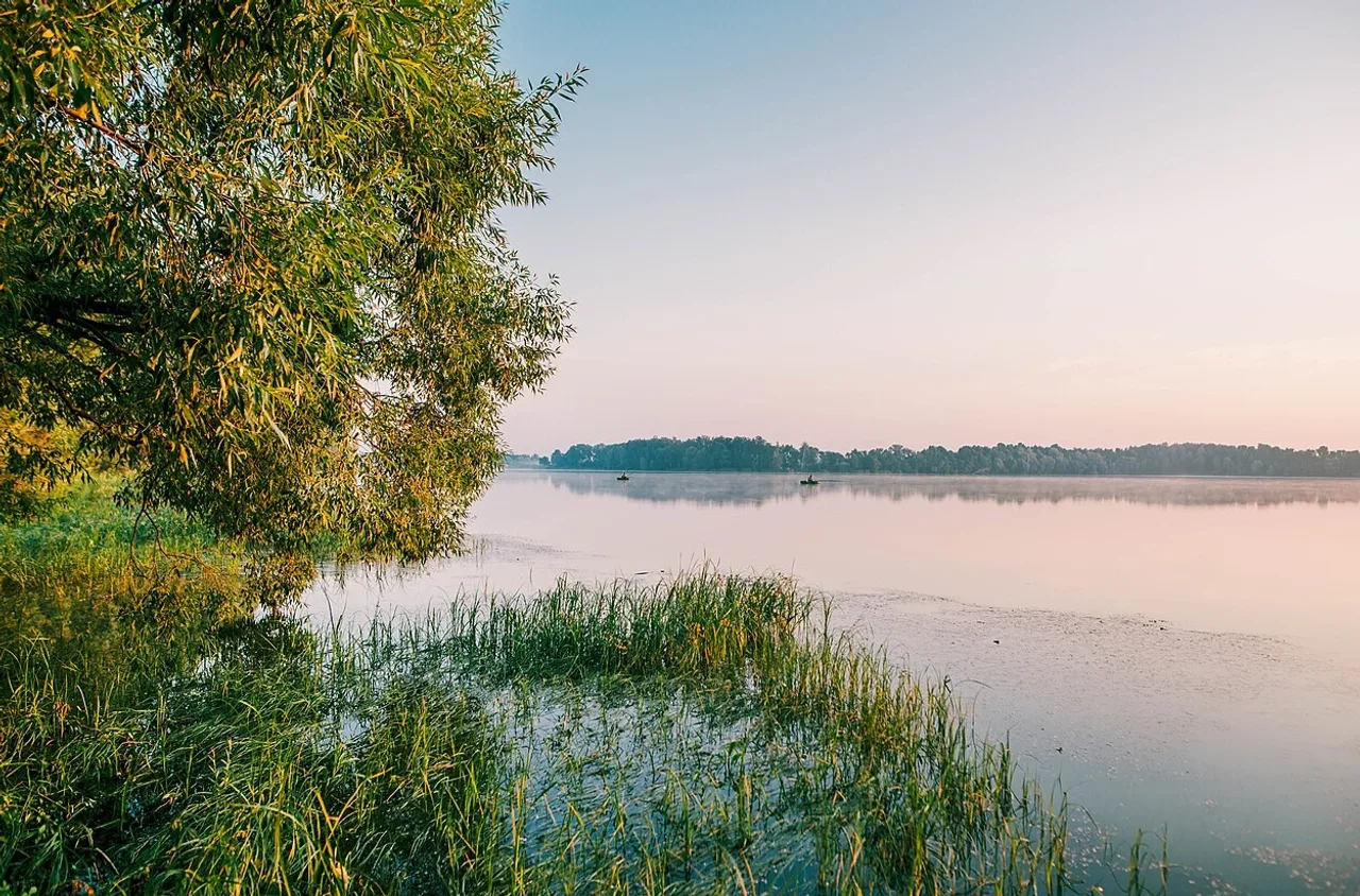 Карабутівське водосховище (Ромен): риболовля на Сумщині