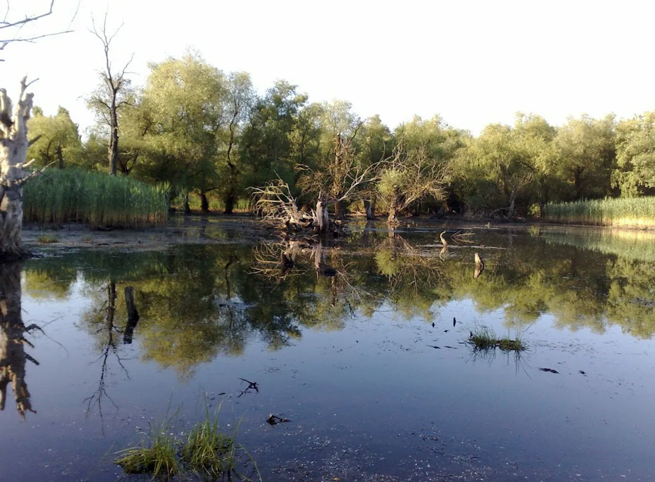 Путрине (озеро) — риболовля, природа та особливості водойми