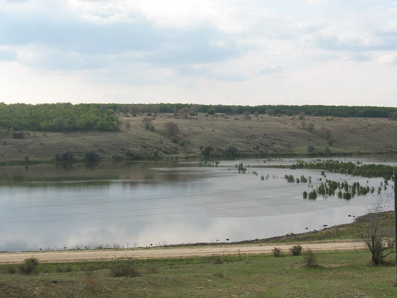 Щербанівське водосховище: гайд з риболовлі та відпочинку