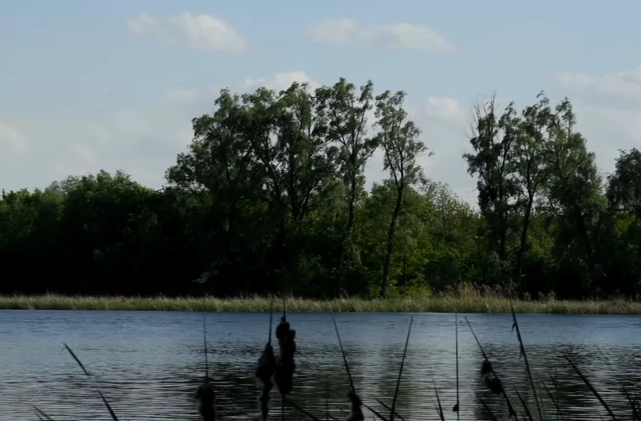 Озеро Млиновище (Земснаряд) у Чернігові: риболовля та особливості водойми