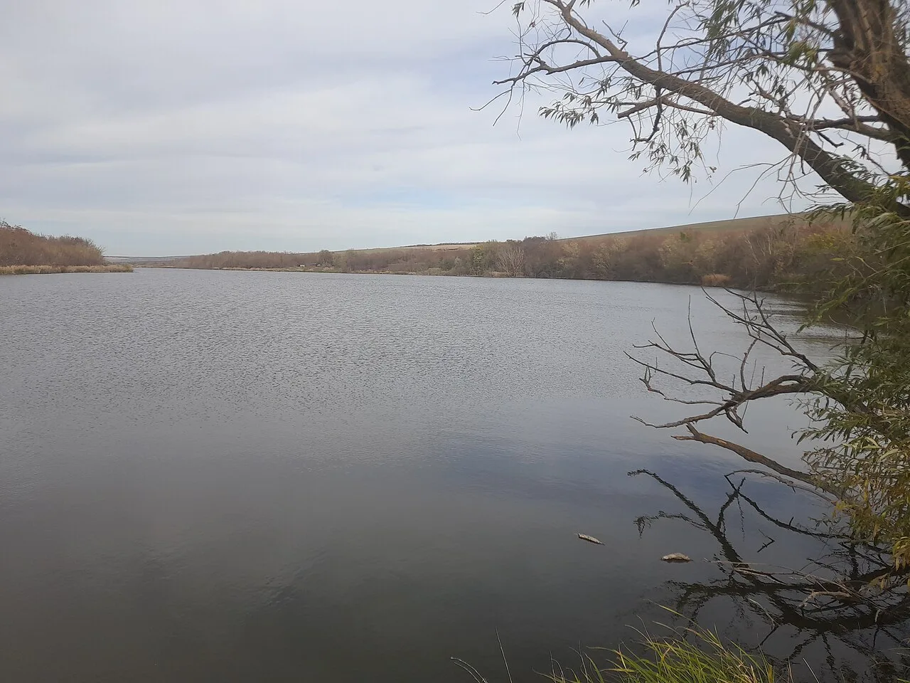 Флоринське водосховище: дика риболовля на Ягорлику