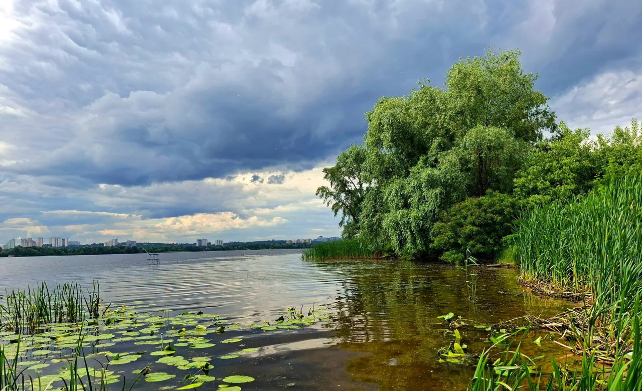 Риболовля в Києві: річка Дніпро та Київське водосховище