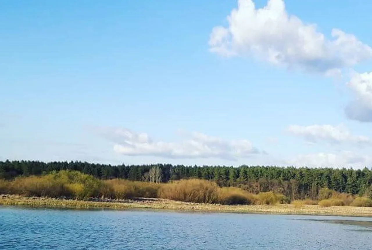 Красне озеро (Красна Тоня) на Чернігівщині