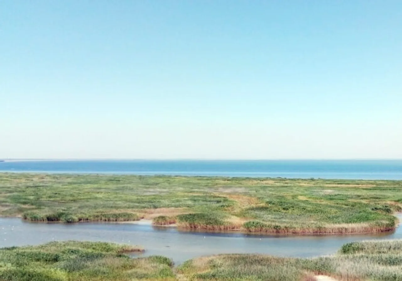 Озеро Мартаза на Одещині: унікальна солона водойма Тузловських лиманів