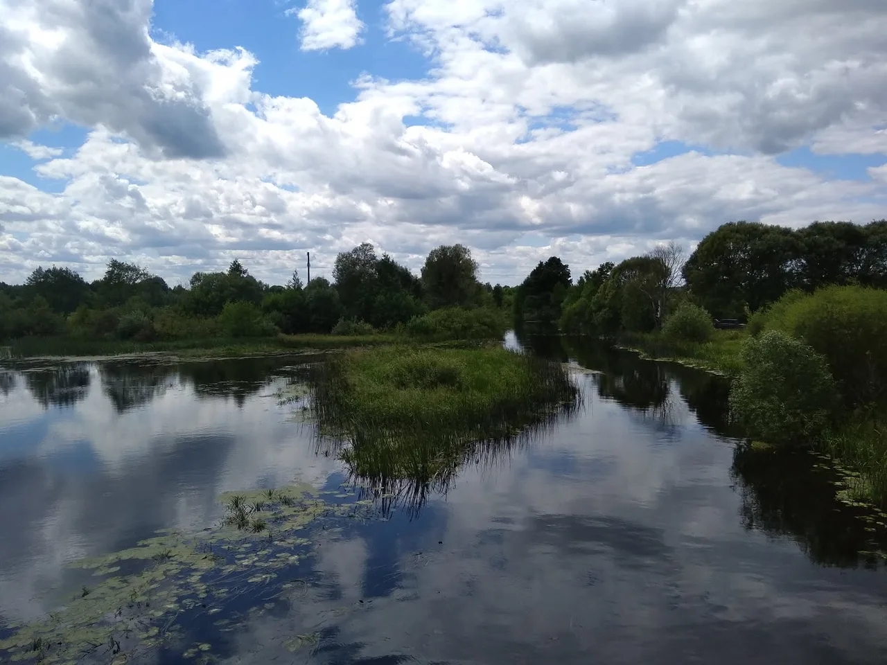 Річка Вижівка: дика краса Полісся для рибалки й відпочинку