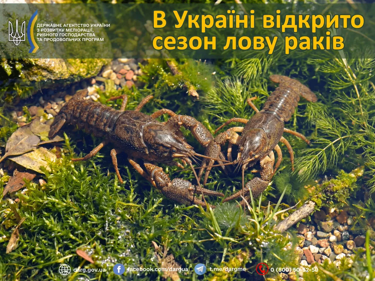 Rybalka Club · Редакція