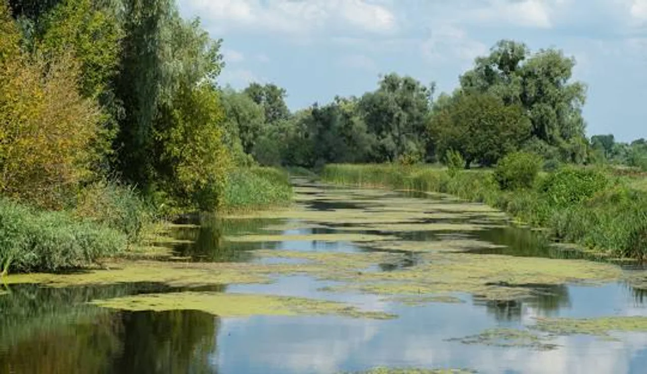 Риболовля в Борисполі: водойми, риба, найкращі місця та поради