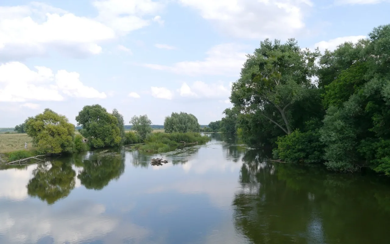 Риболовля в Білій Церкві: річка Рось та платні ставки