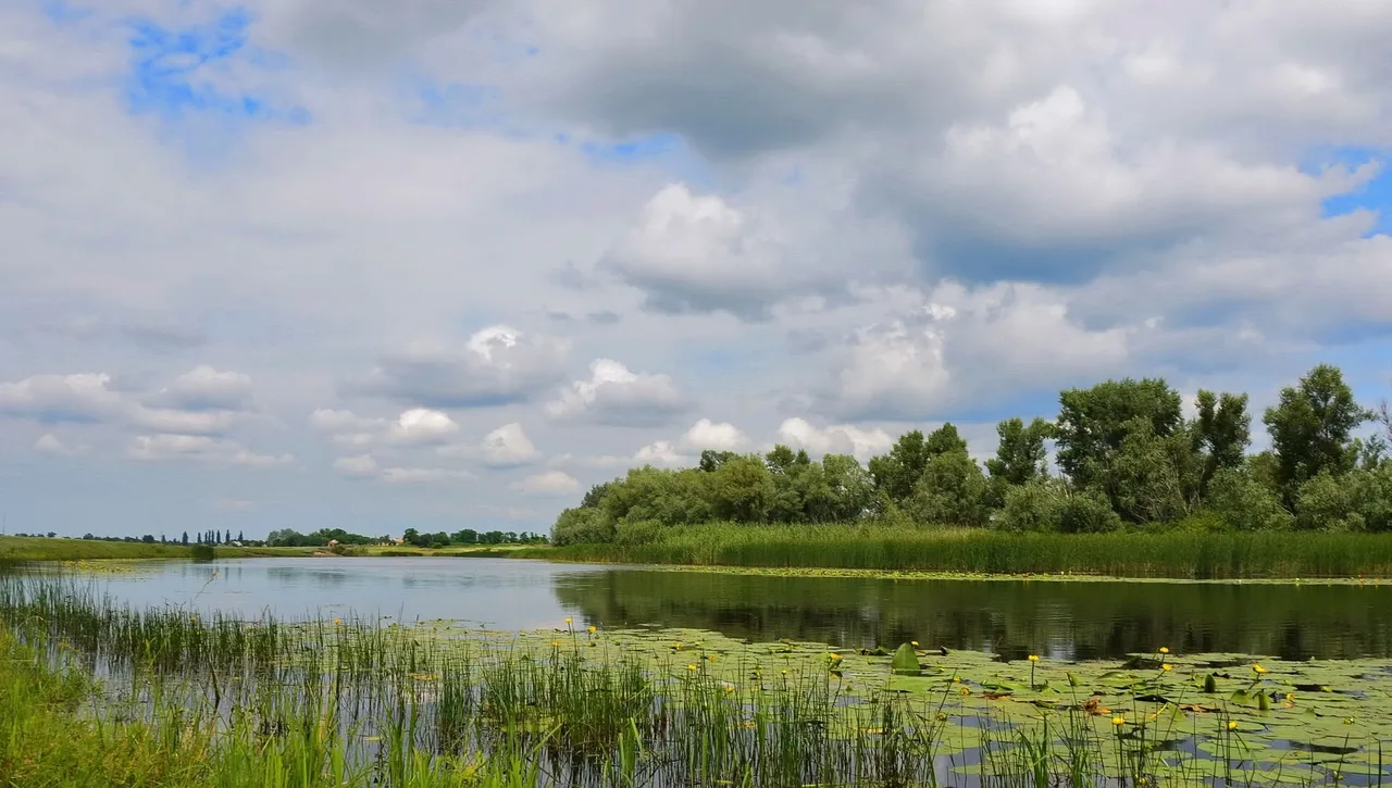Річка Оріль: рибалка на межі трьох областей України